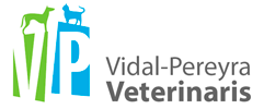 C.V. Vidal-Pereyra